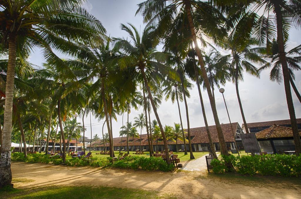 Thaala Bentota Hotel Exterior foto